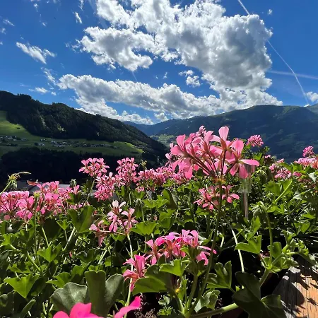 アパート Hoellwarth *